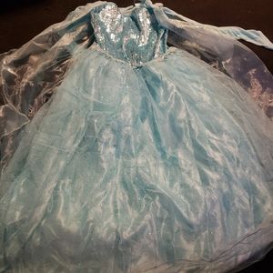 Disney Elsa's frozen dress up